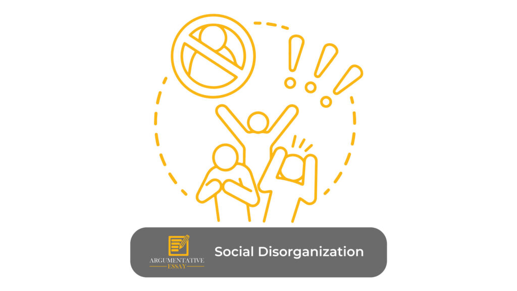 essay on social disorganization